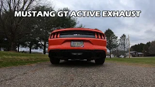 2022 Mustang GT Stock Active Exhaust (Cold Start, Revs, Flybys)