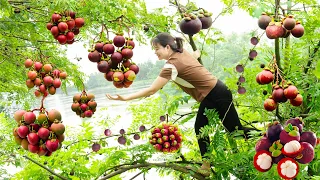 Harvest Sweet Garlic Fruit & Take care of ducks,dogs,and rabbits Goes to the market sell