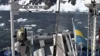 Movie 4 - Antarctica - part 2 (subtitles)