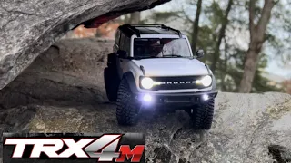 Best $150 You Can Spend in RC! TRAXXAS TRX4M Unboxing and First Run!
