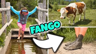 AVVENTURA NEL FANGO e Mucche Incredibili in Montagna: Vacanze GBR