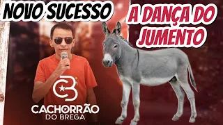 MÚSICA NOVA DE CACHORRÃO DO BREGA, DANÇA DO JUMENTO, SUCESSO EXCLUSIVO.