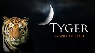 Tom O’Bedlam’s Intense Reading of William Blake’s ‘The Tyger’