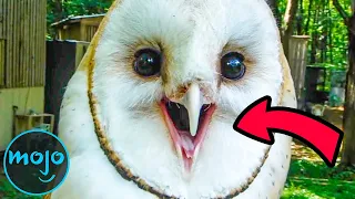 Top 10 Creepiest Real Life Animal Sounds