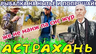 Самая большая щука на рыбалке в Астрахани. Рыбалка на нытьё и попрошайничество.  ч. 7