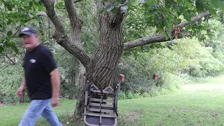 The Ultimate Climbing Treestand