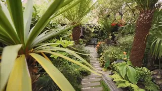 3 Amazing Small Tropical Backyards in the UK