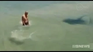 Man Provokes Stingray, Is Attacked By Same Stingray