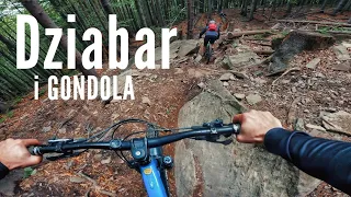 Dziabar / Gondola i zagotowane Saint'y. Scianka na Dziabarze / Szyndzielnia / Enduro Trails