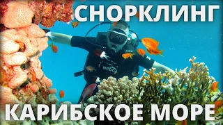 Карибское море Доминикана дайвинг снорклинг экскурсия Каталина Карибы отдых путешествие каталония