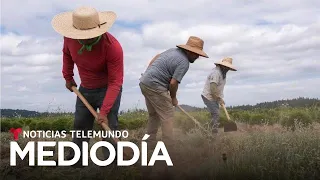 Noticias Telemundo Mediodía, 21 de septiembre de 2021 | Noticias Telemundo