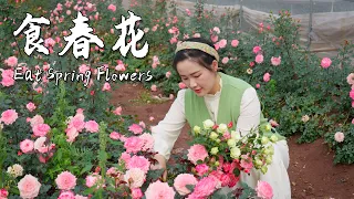 春吃花，是一件浪漫而美味的事情！| Eating spring flowers" is a romantic and delicious activity!【滇西小哥】