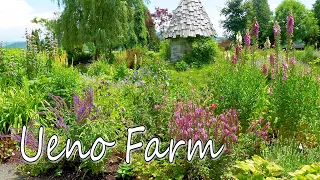 Ueno Farm 2021. Plants of a Snow forest climate are in full bloom in Hokkaido. 上野ファーム #4K #オープンガーデン