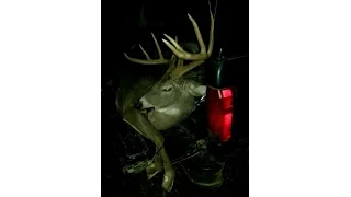 150 inch bow kill in Missouri!