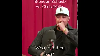 Brendan Schaub Vs. Chris D'elia - What did they say?