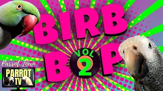 Birb Bop [Vol. 2] Music for Birds to Dance to | Parrot Music TV for Your Bird Room