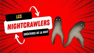 Le Nightcrawlers, étrange créature de la nuit