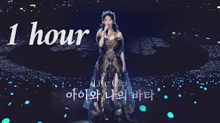 [IU] '아이와 나의 바다(My sea)' Live Clip 1 hour / 1시간 (2022 IU Concert 'The Golden Hour : 오렌지 태양 아래')
