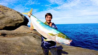 Huge landbased kingfish