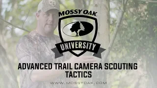 Advanced Scouting For Deer Using Trail Camera