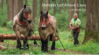Holzrücker - Waldarbeit mit Pferden