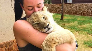 Special ways animal say "I LOVE YOU" to human