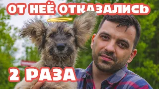 Нам вернули собаку и еще раз отказались от нее.