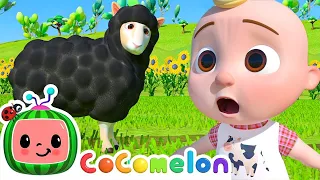 Baa Baa Black Sheep - @CoComelon | Kids Cartoons & Nursery Rhymes | Moonbug Kids