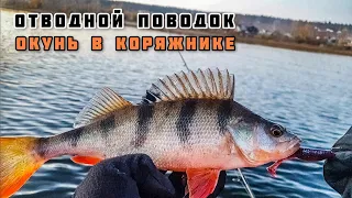 Отводной Поводок и ловля Крупного Окуня в коряжнике Рыбалка в октябре 2020