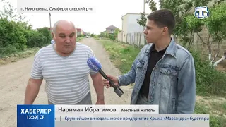 В каком состоянии пляжи Николаевки