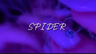 АСМР/ASMR🕸Самая расслабляющая паутинка/ SPIDER MACRO WEB