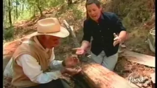 OAXACA, Mexico - Traditional cuisine: Harvesting Grubs, Making Pulque