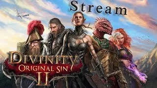 СОВМЕСТНАЯ стрим кампания.ТАКТИКА.- Divinity original sin 2 #12