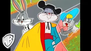 Looney Tunes en Latino | ¿Era ese Bugs Bunny? | WB Kids