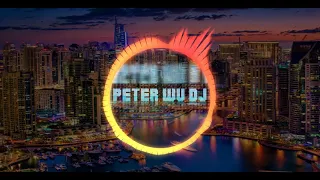 我 们 不 一 样 Wo Men Bu Yi Yang Remix By Peter Wu Dj