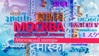 «Москва – лучший город Земли» - Московский зоопарк.