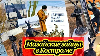 Мазайские зайцы в Костроме