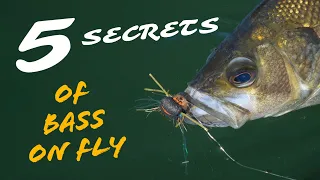 Bass Fly Fishing Secrets - Top 5 Tips
