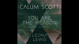 You Are The Reason (Duet Version) Calum Scott