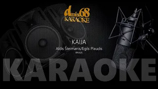 Kaija, Bruģis, Aldis Šteimanis (karaoke)