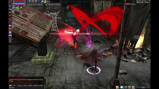 Ran Online GS - DEX Assassin vs Dark Arts Master SOLO HUNT