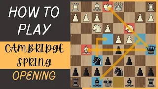 How To Play The Cambridge Spring Opening | Reply Against 1D4