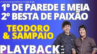 DE PAREDE E MEIA + BESTA DE PAIXÃO - TEODORO E SAMPAIO - PLAYBACK DEMONSTRAÇÃO