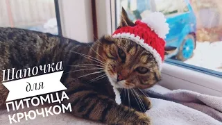 Шапочка крючком для кота или маленькой собачки / Crochet hat for a cat or dog