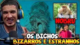 HUDSON REAGINDO Os Bichos mais Estranhos e Bizarros do Mundo! Só Bicho FEIO!