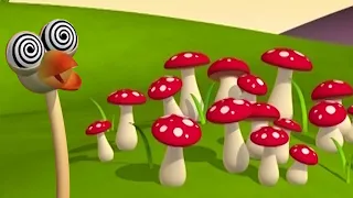 Gazoon - champignons hallucinogènes | Dessin Animé Animal Drôle | HooplaKidz TV Franҫais