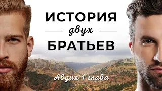 История двух братьев (Даниил Ступник)