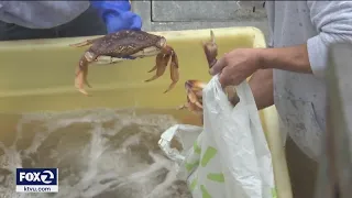 You can now buy fresh crab off the boat in San Francisco as part of new program