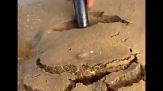 Satisfying Sea Creatures