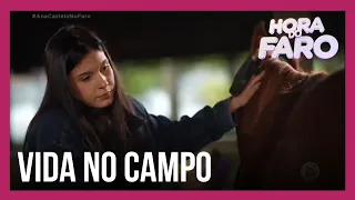 Ana Castela ensina Faro a cuidar de cavalo e ganha uma surpresa